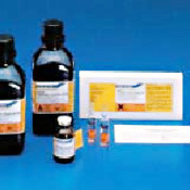 fischer4
