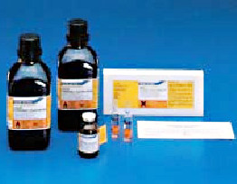 fischer4