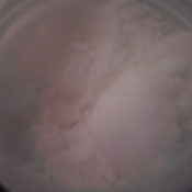 78577810_w640_h640_cid693710_pid43577092-d44fa32e